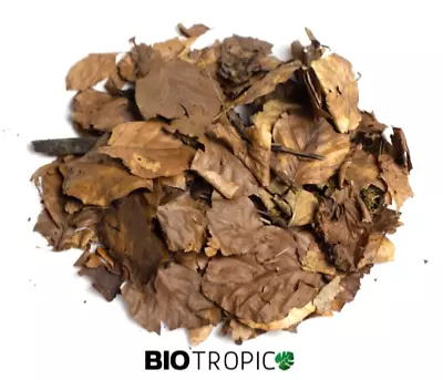 BIOTROPIC. Leaf Litter Mix. Millipede Beetle Isopod Enrichment Food Substrate • £26.99