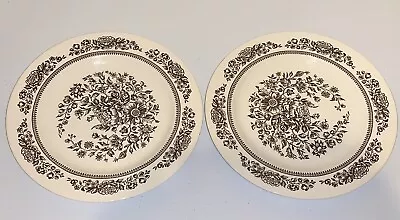 Pair Vtg Royal China SUSSEX CAVALIER Ironstone Dinner Plates Brown Floral 10  • $14.96