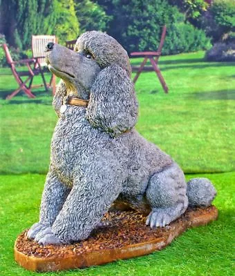 Lifesize Sitting Poodle Dog Stone Cast Ornament Or Garden Statue By DGS UK 27KGS • £147.99