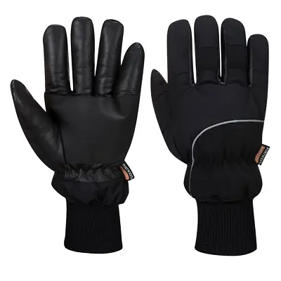 Portwest Apacha Cold Store Glove • £18