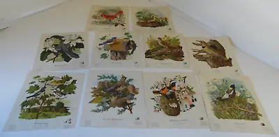 Lot Of 10 Bird Prints By John Atherton For Morrell Calendar 8x9  • $27.99