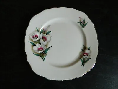 VTG Plate Ridgway Potteries COLCLOUGH Bone China A0 Square Shape Made England • $17