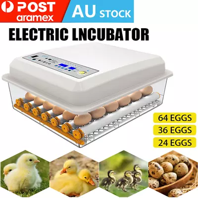 64 Eggs Digital Egg Incubator LED Fully Automatic Turning Chicken Duck Poultry • $67.33