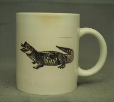 Vtg Crozet Gators  Coffee Mug Cup Virginia Swim Sports Team Alligator • $12.99