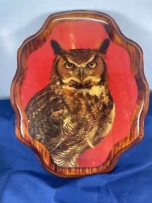 Vintage Great Horned Owl Wall Plaque Wooden Brown Bird Wildlife Hanging Retro • $9.99