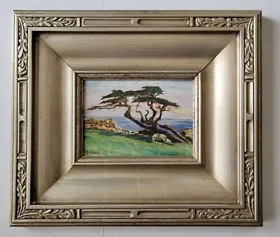 Antique Early California Gem Monterey Cypress Old Coastal Plein Air Oil Painting • $395