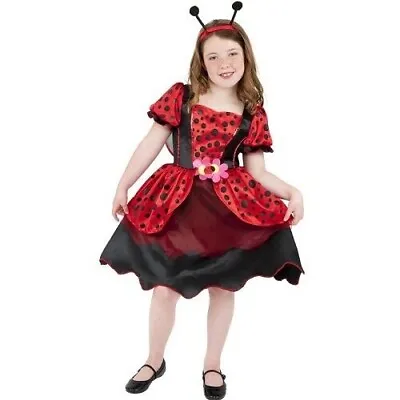 Girls Little Lady Bug Costume • £11.49