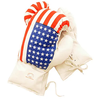 AGE 6-8 KIDS 6 OZ BOXING GLOVES YOUTH PRACTICE TRAINING MMA American USA Flag • $9.95