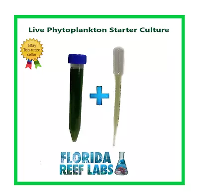 LIVE Phytoplankton Tetraselmis Starter Culture Up To 32 Oz Florida Reef Labs™ • $10.25