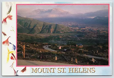 Coldwater Ridge Trail Mount St Helens National Volcanic Monument WA Postcard B18 • $9.95