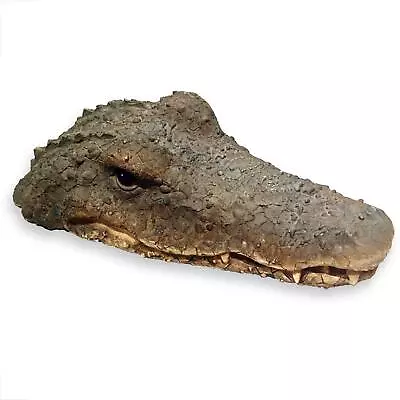 Floating Crocodile Head Garden Art Or Decoy For Water Pools And Ponds 1 Ft 5/... • $49.87