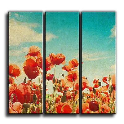 Flower Canvas Floral 3 Panel Wall Art Print Picture 31 PREMIUM QUALITY 5a • £38.49