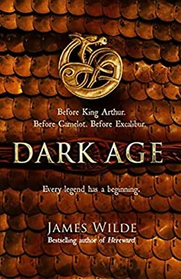 Dark Age Hardcover James Wilde • £4.73