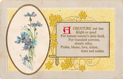 Postcard A Creature Not Too Bright Or Good Posted Middletown MD 1910 Embossed DB • $7.99