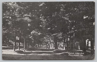 Montrose Pa Pennsylvania - Upper Lake Avenue - Postcard  - C1908 • $7.95