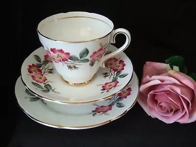 Vintage Salisbury  Bone China PINK FLORAL Trio Tea Cup Saucer Tea Plate   • £4.99