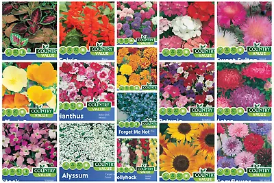 Flower Seeds  By Mr Fothergills Country Value Choose Your Packs • £2.05