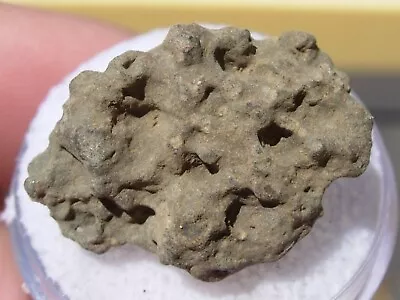 3.84 Grams NWA 16003 (CK3) Meteorite ( PROVISIONAL ) As Found Individual + COA • $9.99