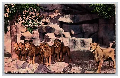 $6.79 • Buy Detroit, MI Michigan, Lion Den, Detroit Zoo, Vintage Linen Postcard Posted 1941