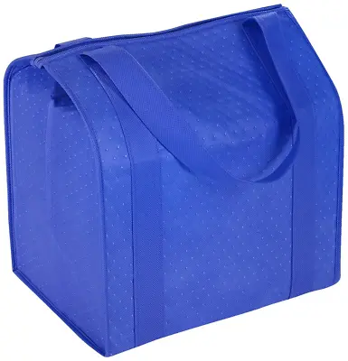 Large Insulated Shopping Bag • $8.99
