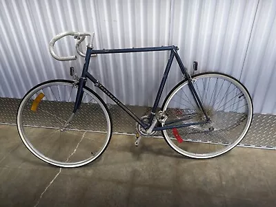 Terranaut Ariel 12 Speed Road Sugino Bicycle Bike Vintage VTG Touring • $180