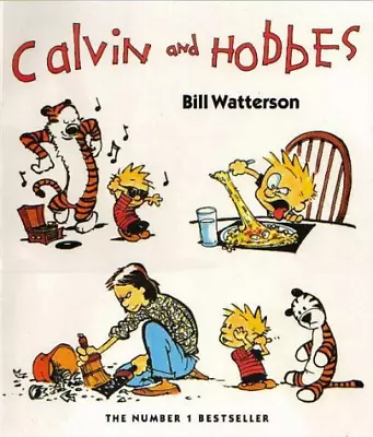 Calvin And Hobbes: The Calvin & Hobbes Series: Book One • £6.13