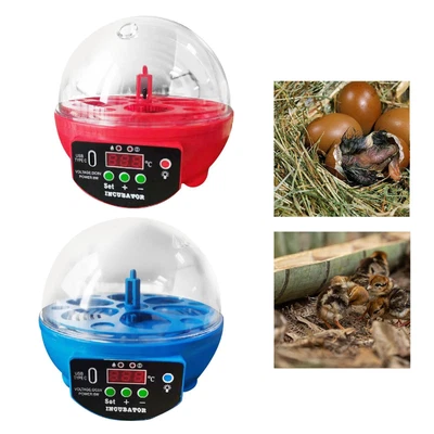 £28.49 • Buy 6 Eggs Incubator Automatic Egg Turner Hatching Eggs For Quail Birds Eggs