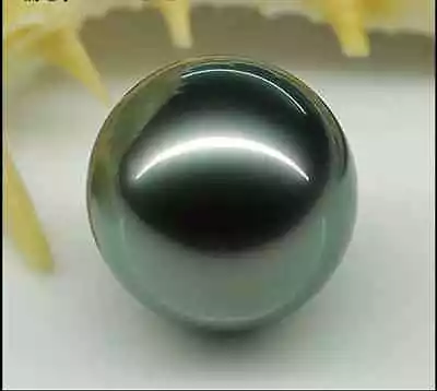 $398 • Buy Huge 15mm Natural Tahitian Genuine Black Loose Perfect Pearl Undrilled 666AAA