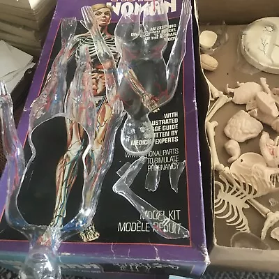 Vintage  Revell The Visible Woman Human Body Model Kit 1977 Box Broken Pieces / • $25