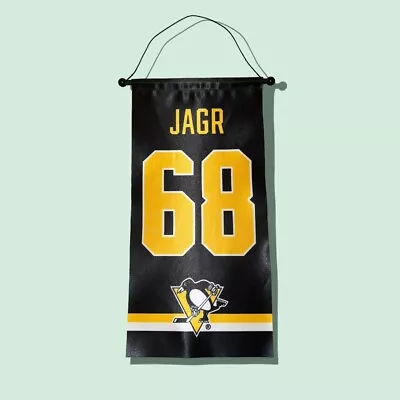 Jaromir Jagr Pittsburgh Penguins Jersey Retirement Mini Banner Brand New Nice!! • $39.95