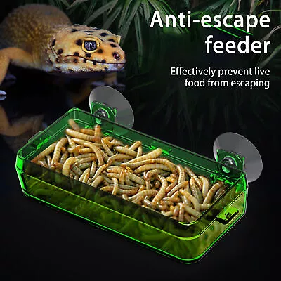 Reptile Feeder Not Easy To Fall Feed Water Smooth Surface Reptile Feeder • $33.30