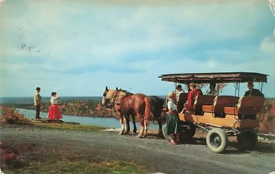 Lake Minnewaska New York Horse Drawn Surrey Ride Vintage Postcard • $6.39