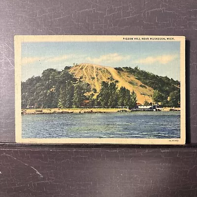 Pigeon Hill Sand Dune Near Muskegon MI Michigan Before Mining Linen Postcard UNP • £6.17