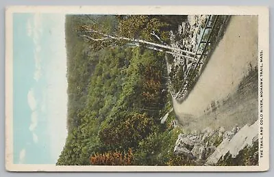 $7.99 • Buy Mohawk Trail Massachusetts~The Trail And Cold River~Vintage Postcard