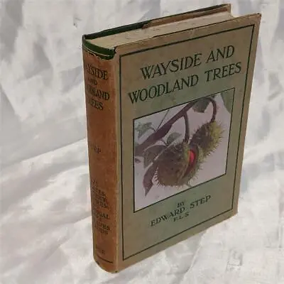 Wayside  & Woodland  Trees By Edward Step 1940- British Sylva Warne Illus  HB DJ • £6.98