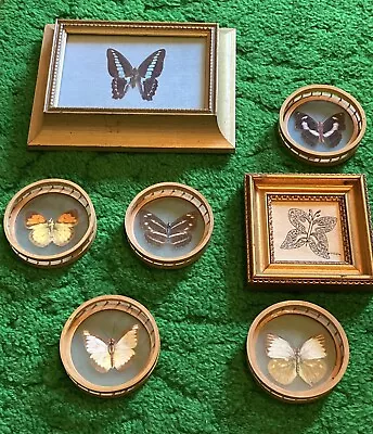 70’s Vtg Framed Display Real Butterfly Insect Collection MCM Taxidermy Coasters • $52