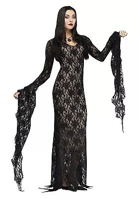 Miss Darkness Lace Costume For Adult Size Medium New By Fun World • $49.98