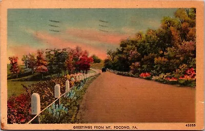 Postcard Mt Pocono PA Greetings Scenic View Used Vintage Linen Postcard • $2.99