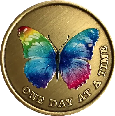 $13.94 • Buy Butterfly Color One Day At A Time Medallion AA NA Serenity Prayer Sobriety Coin