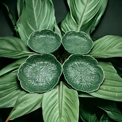 World Market Portugal Green Cabbage Leaf 8  Salad Bowl / Lunch Plate Set Of 4 • $100