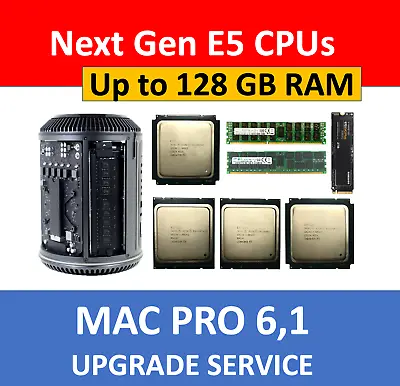 Mac Pro Late 2013 61 Processor CPU/Memory/SSD Upgrade Service USA • $428