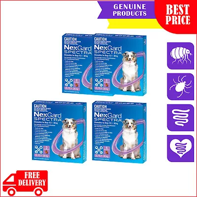 NEXGARD SPECTRA Flea Heartworm Treatment 3612 Chews For 15 To 30 Kg Dog PURPLE • $83.96