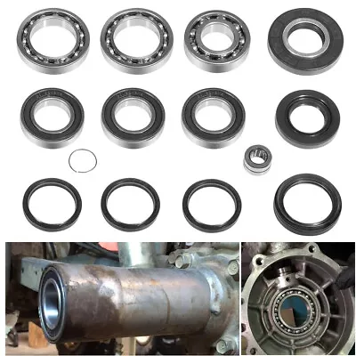 Rear Axle & Differential Bearing Seal Kit For Honda Recon 250 TRX250 TE TM • $53