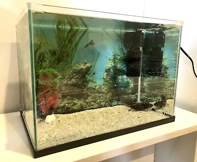 $40 • Buy 20L Fish Tank Starter Pack Aquarium Nano Tank