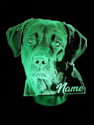 Personalized Labrador Retriever  Acrylic LED Lamp Gift • £22