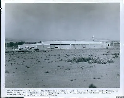 1967 White Swan Plant Yakima Nation Industrial Park Native Americans 8X10 Photo • $17.99