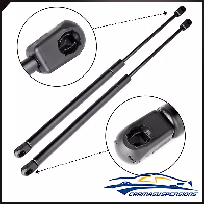 Set Of 2 Rear Trunk Lift Supports Struts Shock Gas Prop 1994-04 For Ford Mustang • $15.84