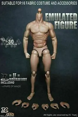 ZC Toys 12  Muscular Male Action Figure Body Fit 1/6 Scale Hot Toys Head Sculpt • $27.98