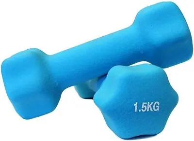1.5KG Pair Dumbbell Neoprene Anti Slip Dumbbells Gym Weights Weightlifting Set • $28.25