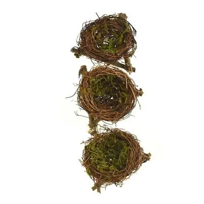 Mini Craft Twig Birds Nests Brown 2-1/2-Inch 3-Piece • $12.95